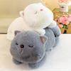 Cute Squinting Tuantuan Cat Plush Toys Office Cushion Sleeping Pillow Children's Sleeping Pillow Sofa Ornaments