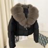 Women's Winter Down Jacket with Real Fox Fur Collar - Petite To Extra Large