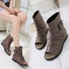 Roman Sandals Women's Wedge Heel 2025 Spring Fashion New Fish Mouth Middle Heel Women's Shoes Inner Height Increase Belt Buckle Cool Boots
