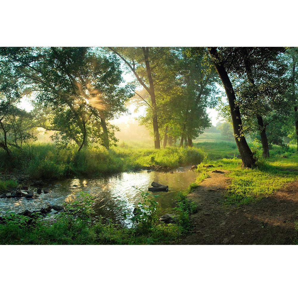 Forest Stream Wallpaper 3d Natural Scenery Wall Mural Living Room Bedroom Forest Mural Home Decor
