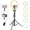 UBeesize 12 Inch LED Ring Light with 158cm Tripod Photography Light Overhead Photography Smartphone Clip Type Actress Light Video Light High