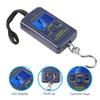 LCD Display Scale Portable 40kg/10g Electronic Hanging Fishing Digital Pocket Weight Hook Scale