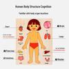 Wooden Human Anatomy Puzzle: Toddler Educational Toy for Self-Awareness and Science Learning