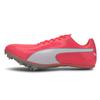 EvoSpeed Sprint 10 Ignite Pink Men Sneakers Silver 193452-02