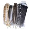 10Pcs Real Natural Eagle Feathers for Crafts Decoration Turkey Pheasant Carnival Hats Accessories Feather Decor Plumes Headpiece