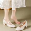 Temperament Coarse Heel Small Leather Shoes Women's Spring and Summer New French Single Shoes Gentle Square Head with Skirt Mary Jane Shoes