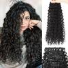 Synthetic Long Curly Clip In Hair Extensions Natural Wave Curly Clip In Thick Wig Extensions Color For Women