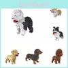 Poodle Or Poodle Dog Figure To Assemble With Nanoblocks Pieces Toys Children