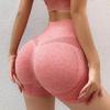 Seamless Fitness Sports Gym Leggings Yoga Shorts Women High Waist Casual Running Shorts Female Slim Push Up Jogging Pants 30678