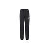Jumpman Regular Fit Solid Casual Joggers Men Bottoms Black AV1841-010