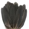 100Pcs/Lot Natural Pearl Chicken Spotted Pheasant Feathers for Crafts 15-20CM 6-8" Wedding Feathers Decoration Plumas