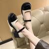 French Mary Jane Small Leather Shoes Women's 2025 Spring New Color Matching Fashion Versatile British Style Thick Heel High Heel Single Shoes