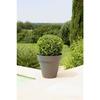 Flower Pot - - Soleilla Round - Ø 59 X 53.6 Cm - Glittery Grey