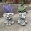 1 Piece European Creative Cute Elephant Flower Pot Shape, Resin Statue Ornament, Balcony Garden and Courtyard Decoration