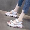 Fashion Chunky Sandals for Women Fashion Platform Sandal Ladies Designers Casual Wedges Sandals Female Brand Sports Sandals 2024