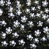 Cherry Blossom String Lights LED Battery Powered Fairy Garland Lighting Strings Crystal Flowers Waterproof Christmas Home Decor