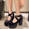 Fashion Platform Women Mary Jane Shoes Fashion Elegant Cross Strap Thick Heeled Shoes Spring Ladies College Style Suede Dress Pumps