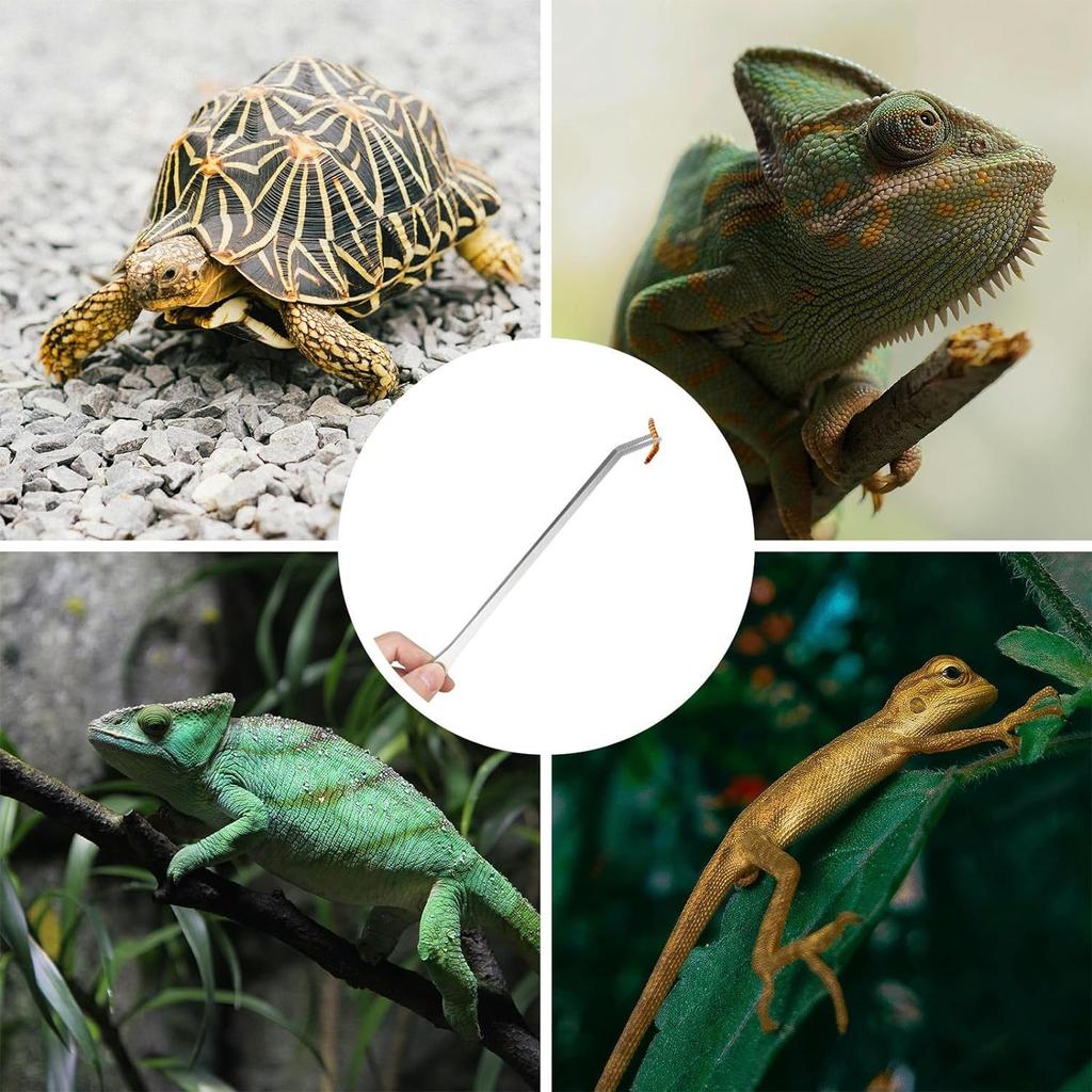 2PC Long Aquarium Tweezers Straight and Curved Tweezers Stainless Steel Reptile Feeding Tongs Terrarium Aquascape Feeder for Lizards Dragon Snake Tank