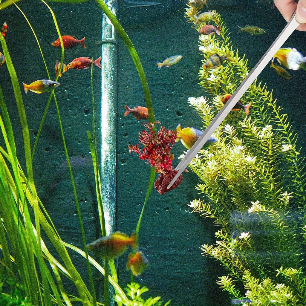 2PC Long Aquarium Tweezers Straight and Curved Tweezers Stainless Steel Reptile Feeding Tongs Terrarium Aquascape Feeder for Lizards Dragon Snake Tank