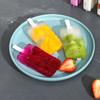 Ice Cream Mold Set Popsicle Maker Ice Tray With Sticks Lid Diy Kitchen Tool