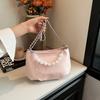 Fashion Chain Small Bag Women's New Trendy Casual Shoulder Crossbody Armpit Bag Hand Bag