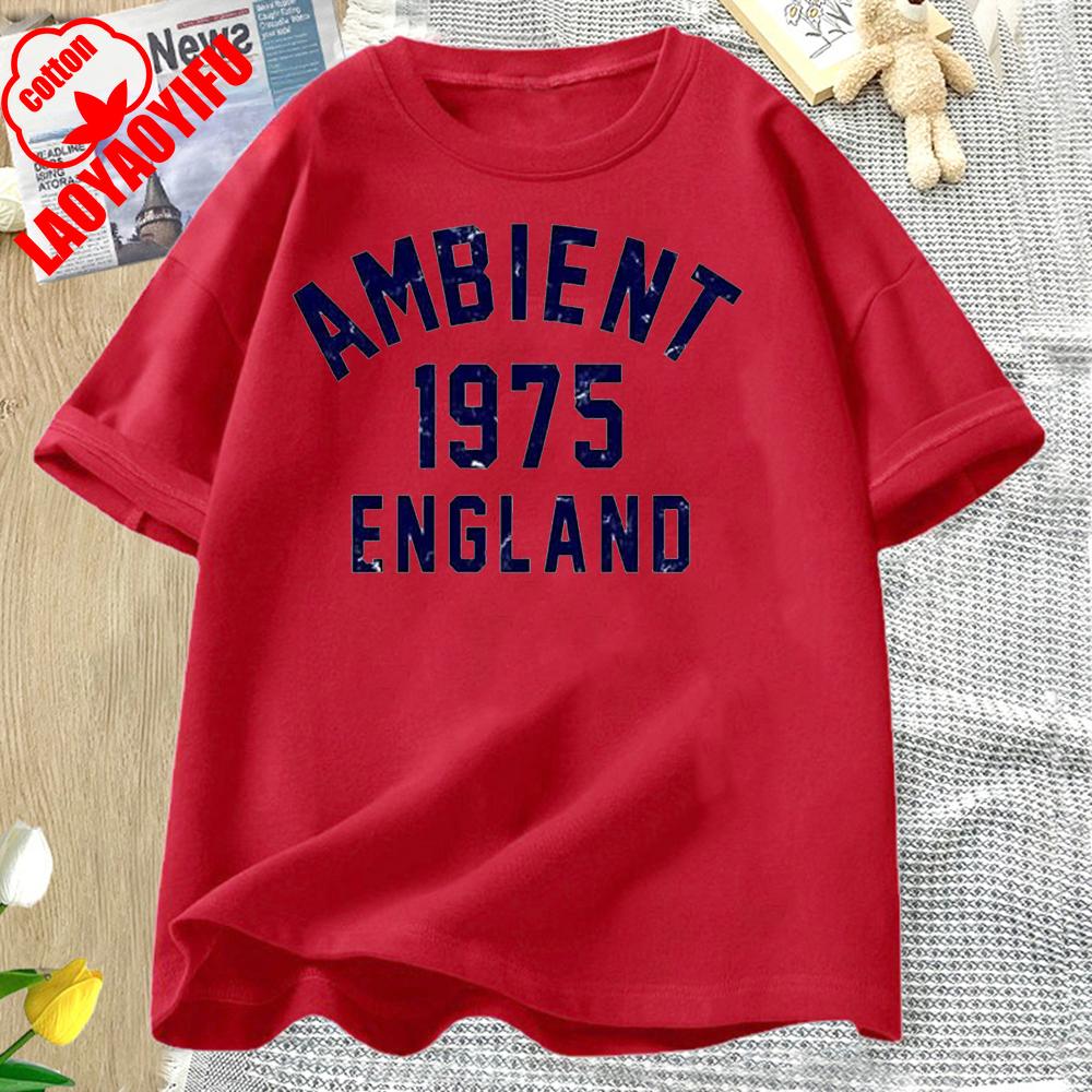 Ambient Music 1975 Brian Eno The Orb Synthesizer Best Seller Top Tee T Shirt Great for Running and Weekend Letter Clothes