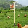 Chicken Roosting Perch Wooden Chick Stand Bird Training Easy Assembly for Coop