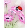 Full 5D Diy Diamond Painting Lovely Beetle Mosaic Embroidery Cross Stitch Home Decor Handmade Gift