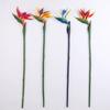 2 Pcs Large Bird of Paradise 80cm Permanent Flower UV Resistant No Fade Flower Part Is Made of Soft Rubber PU Artificial Flower Plants for Home Office