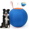 Interactive Dog Ball Training Boredom Exercise Playing Catch and Large Balls Inflatable