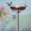 Freestanding Bird Bath Bowl Water Decorative Garden Feeder Feeding Station for Yard