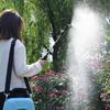 Yousheng Electric Sprayer Wand Battery Powered Garden Sprayer Wand Telescopic Spray Wand with 2 Nozzles Water Sprayer for Watering Plants Car Washing