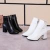 Fashion New Women's Boots 2025 Spring Thick Heels Fashionable and Elegant Belt Buckle Short Boots Side Zipper Slimming Fashion Boots