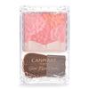 Canmake Glow Fleur Cheeks 02 Абрикосовый флер 6,3 г