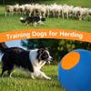 Durable Interactive Dog Ball for Molar Relief - Suitable for Golden Retrievers, Corgis, Border Collies, and More.