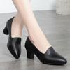 Women Shoes Quality Leather Women Pointed Toe Pumps Women's Chunky Heel High Heels Fashion Black Work Shoe Plus Size 35-42