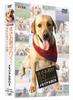 Masao Pochitama Pet Journey Memorial Box Goes! [DVD]