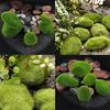 Marimo Moss Balls Artificial Grass Stone Turf Mini Fairy Garden Micro Terrarium