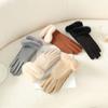 Full Finger Fashion Gloves Plush Warm Mitts New Winter Gloves for Autumn
