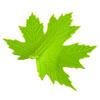 Green Maple Leaf Door Stopper Wedge 3D Printed Simulation Leaf Model Windproof Anti-collision Carpet Tile Concrete Wooden Floor Decorative Doorstop