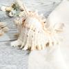 Large Natural Large Conch Shell 10-16cm Conch Shells Crafts Statue Fish Tank Decor Home