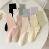 Women Socks Thin Summer New Solid Colorful Plain Crew Socks Casual Girls Trendy Simple Breathable Anti-pilling Loose Socks
