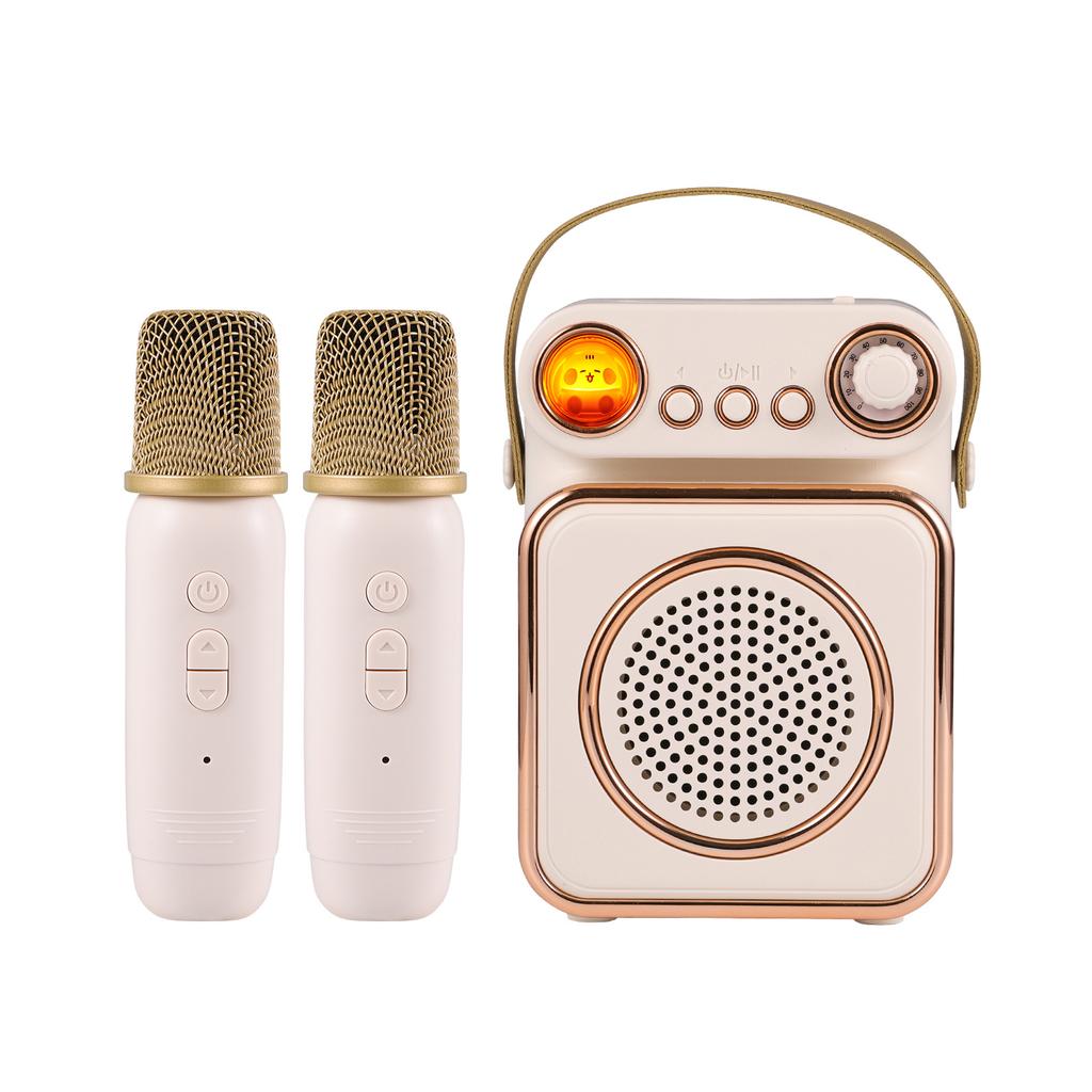 Mini Karaoke Machine Wireless Microphone and Speaker Set with 2 Microphone Rechargeable LED Color