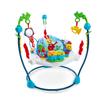 Kids II Japan Baby Einstein Neighborhood Symphony Activity Jumper (10504)