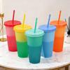 Color Changing Plastic Tumbler with Straw 24oz Reusable Cold Water Cup Leak-Proof Stackable Drinkware for Indoor Outdoor Use