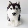 Realistic Stuffed Dog Husky