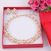 Twinkle Trinket 2Pcs Women Faux Pearl Crystal Stone Inlaid Necklace Earrings Ornaments Set