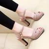 Summer Waterproof Platform Sandals with Thick High Heels for Women (9 Cm & 7 Cm)
