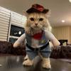 Halloween Pet Clothes for Small Dogs Cats Cute Party Kitten Cowboy Costume Jacket Puppy Cosplay Clothing Dog Dress Up Outfit Chihuahua