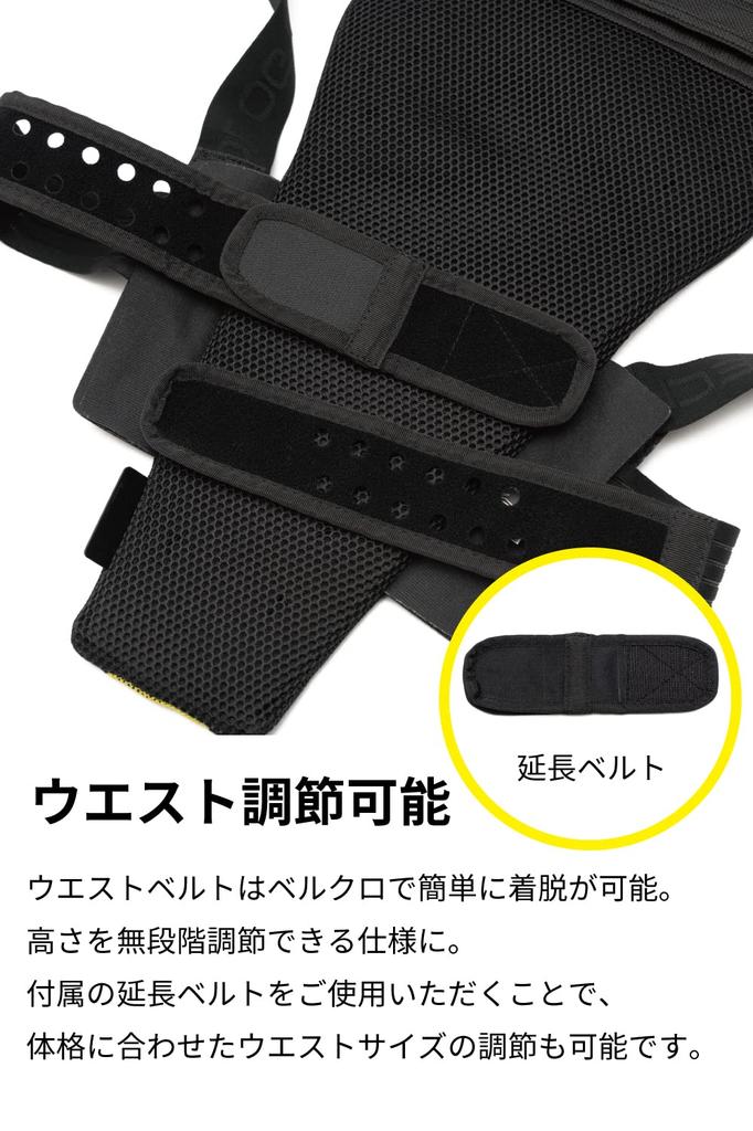 RS TAICHI Stealth CE Back Protector Black L [NXV019]